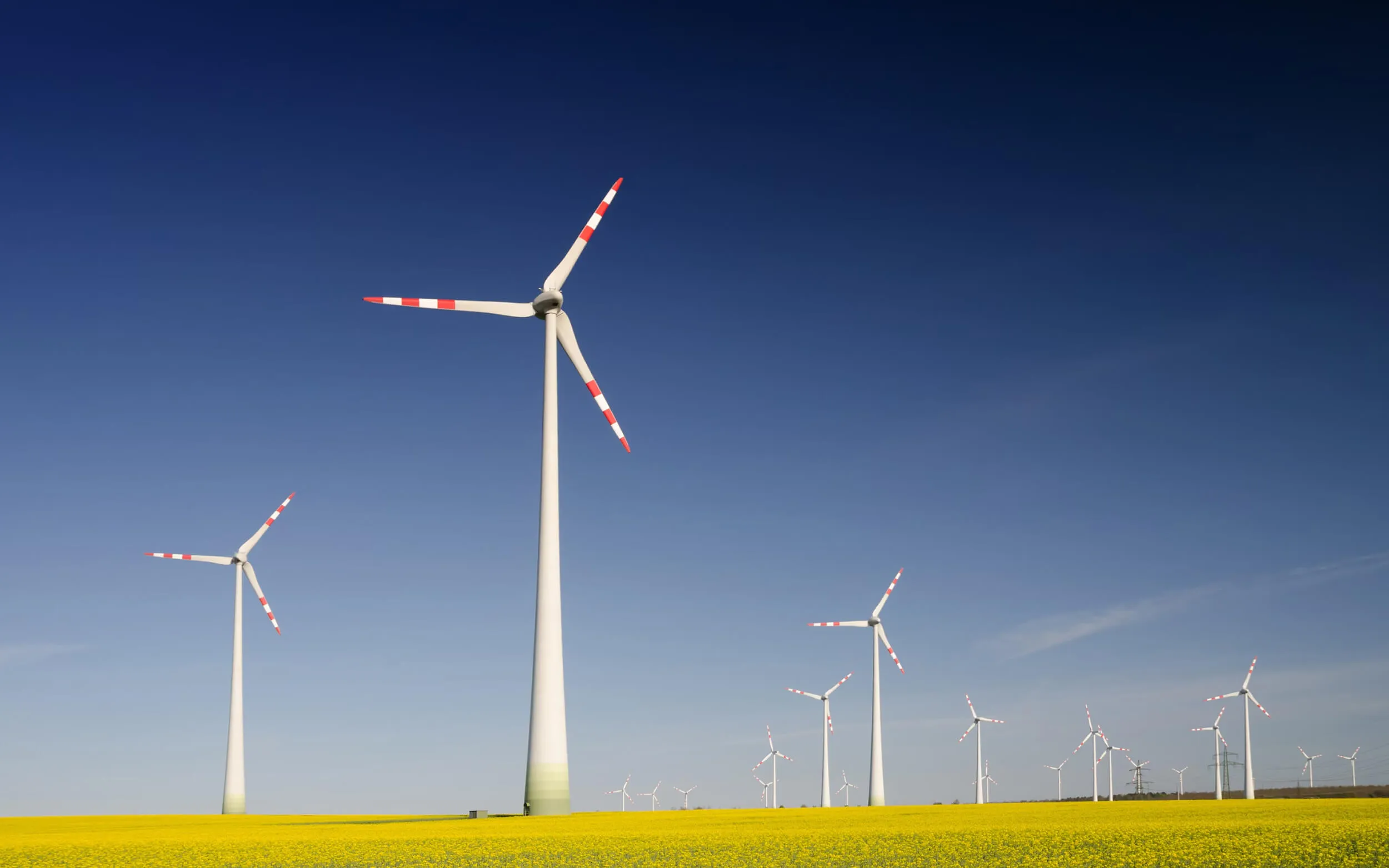 Work Sustainability